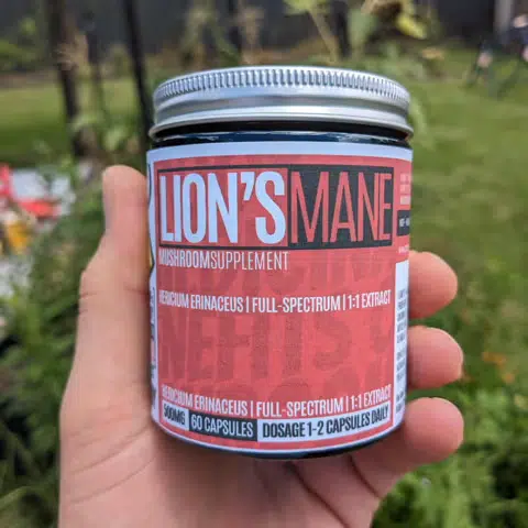 A hand holds a jar of Australian Lion’s Mane mushroom supplement, labelled with dosage and capsule count.