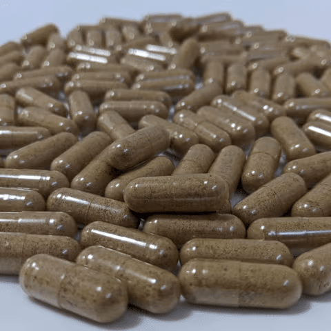 The Truth Behind 'Australian Lion's Mane' 7 A pile of brown Australian Lion’s Mane herbal supplement capsules scattered on a white surface.