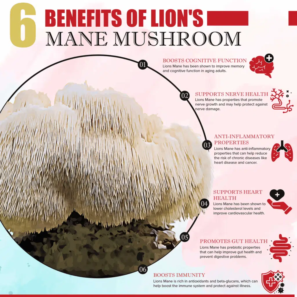 9 Potential Benefits of Lion's Mane Mushroom 2 Lionโs Mane Mushroom infographic showcases six potential benefits, such as improved cognition, immunity, and heart health.