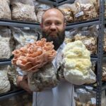 Brett Mather holds large clusters of pink and white mushrooms in a room filled with mushroom grow bags.