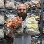 Brett Mather holds large clusters of pink and white mushrooms in a room filled with mushroom grow bags.