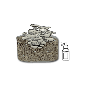 Mushroom Grow Kit - Spray and Grow