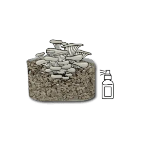 Mushroom Grow Kit - Spray and Grow
