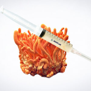 A syringe filled with liquid rests on top of a bright orange coral-like fungus against a white background.