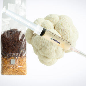 A syringe with a needle next to a bag of soil.