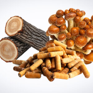Shiitake mushrooms, logs, and wood pellets arranged on a white background.