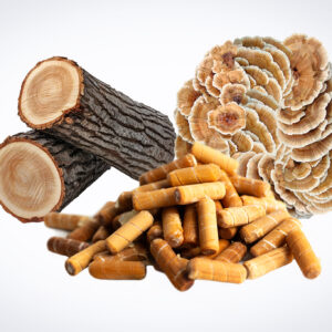 Logs, brown mushroom, and yellow supplement capsules arranged on a white background.