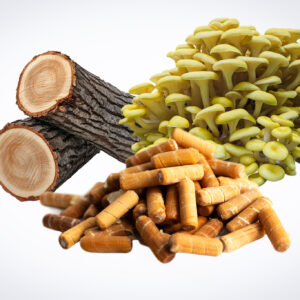 Logs, yellow oyster mushrooms, and brown mushroom supplements on a white background.