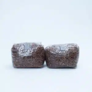 Home 284 Two Mushroom Grain spawn Bag Pre Sterilised 500g placed side by side on a white background.