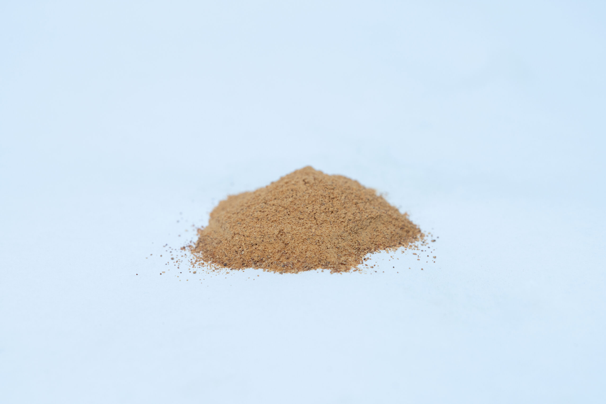 Australian Grown Dehydrated Cordyceps militaris (Powder) 2 Cordyceps Powder Dehydrated