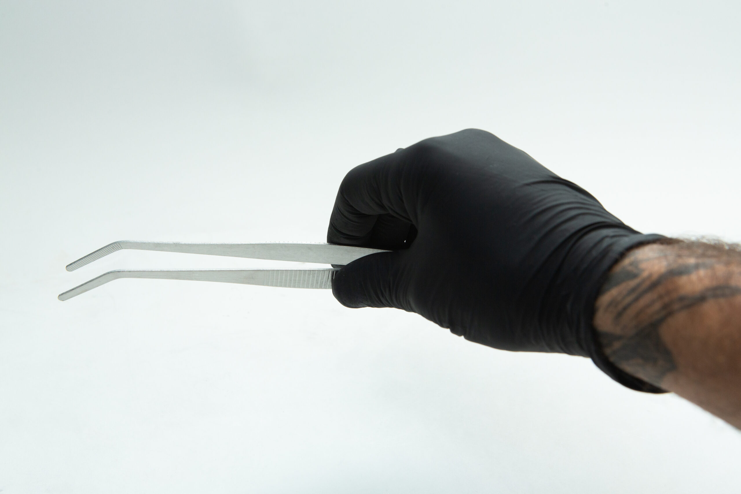Stainless Steel Plant tissue culture Lab Forceps | Curved & Straight Tips | 15cm 4 A gloved hand holds metal tweezers against a plain white background.
