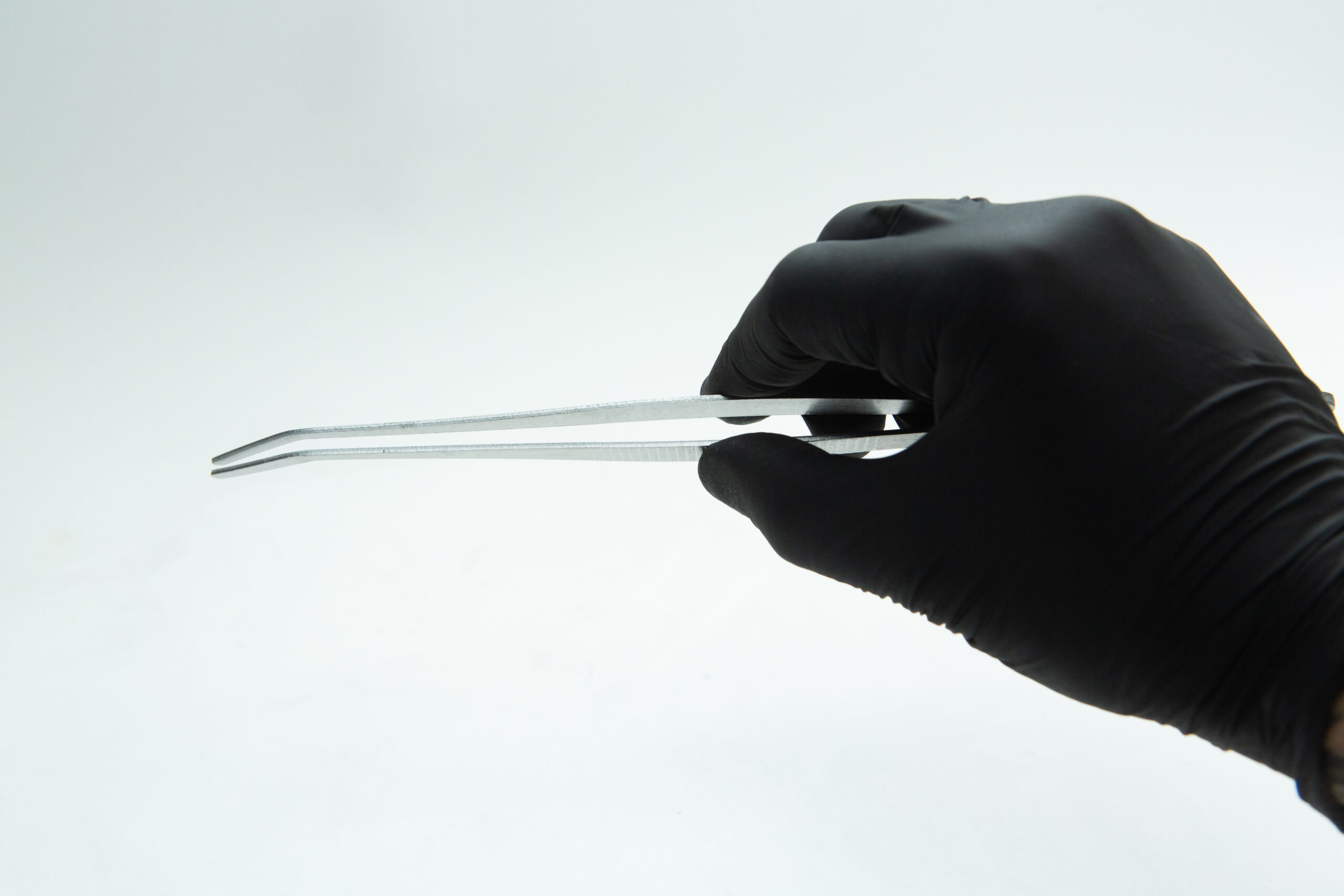 Stainless Steel Plant tissue culture Lab Forceps | Curved & Straight Tips | 15cm 5 A hand in a black glove holds metal tweezers against a plain white background.
