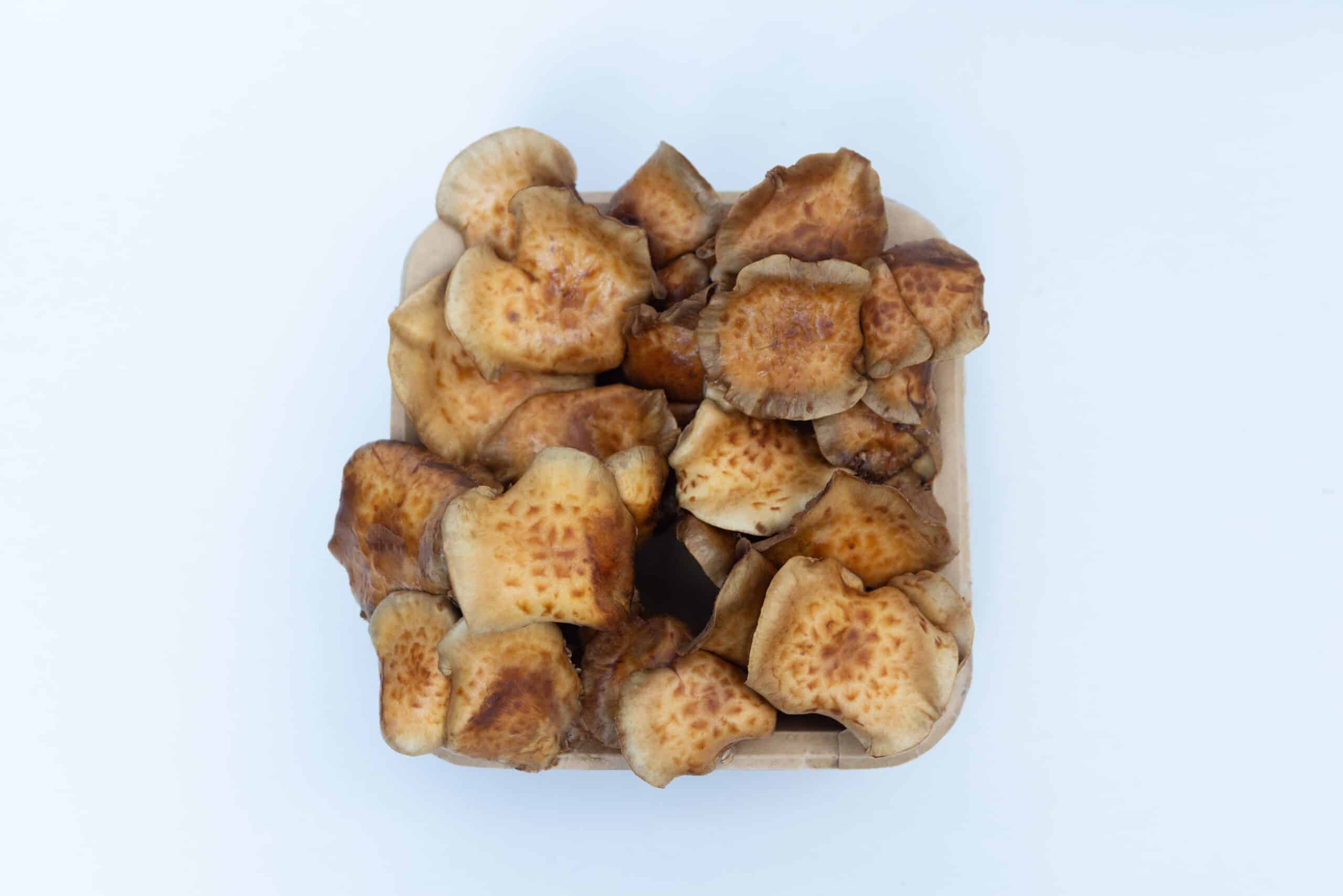 Nameko Mushroom Growing Kit | Inject & Grow 9 A wooden tray filled with several brown, textured mushrooms on a white background.