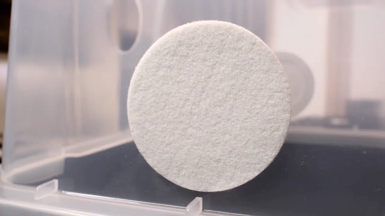 Mushroom Monotub Fruiting Chamber : Hard case 2 A round, flat, white felt pad is standing upright inside a transparent plastic container.