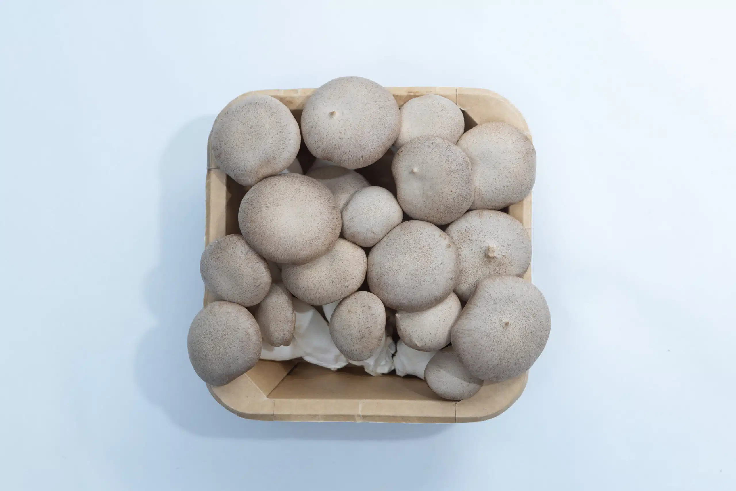 Brown Shimeji | Hypsizygus tessulatus | Mushroom Grow Kit- Spray and Grow - 3kg 6 A top view of a wooden basket filled with fresh, whole mushrooms against a white background.