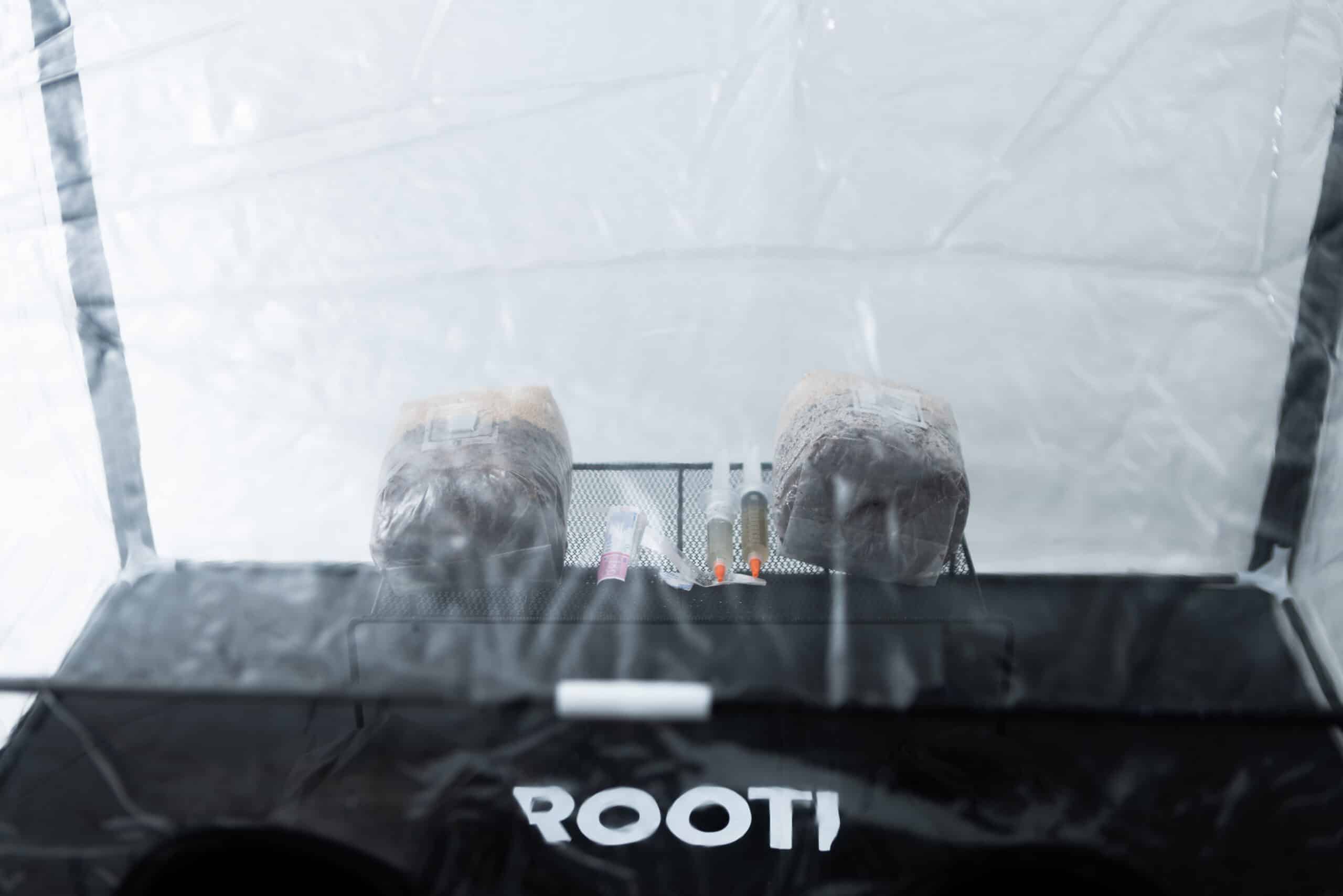 Rootlab Still Air Box with viewing Window Angled 3 Two covered objects and small bottles inside a transparent enclosure, with ROOTI visible on a black surface, are showcased through the viewing window of the Rootlab Still Air Box with Viewing Window Angled.