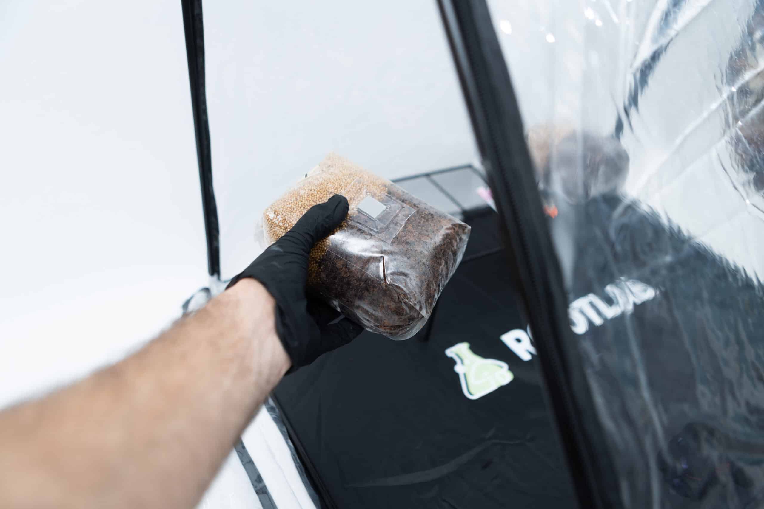 Rootlab Still Air Box with viewing Window Angled 5 A gloved hand holds a small bag of soil inside a clear Rootlab Still Air Box with Viewing Window Angled, featuring a black base and a convenient viewing window.