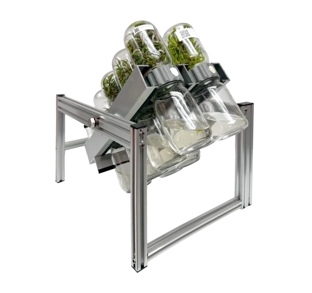 Metal rack holding multiple glass jars with green plants inside, all arranged at an angle to highlight the Plant Cell BioTilt™ 8 system for efficient plant cell cultivation.