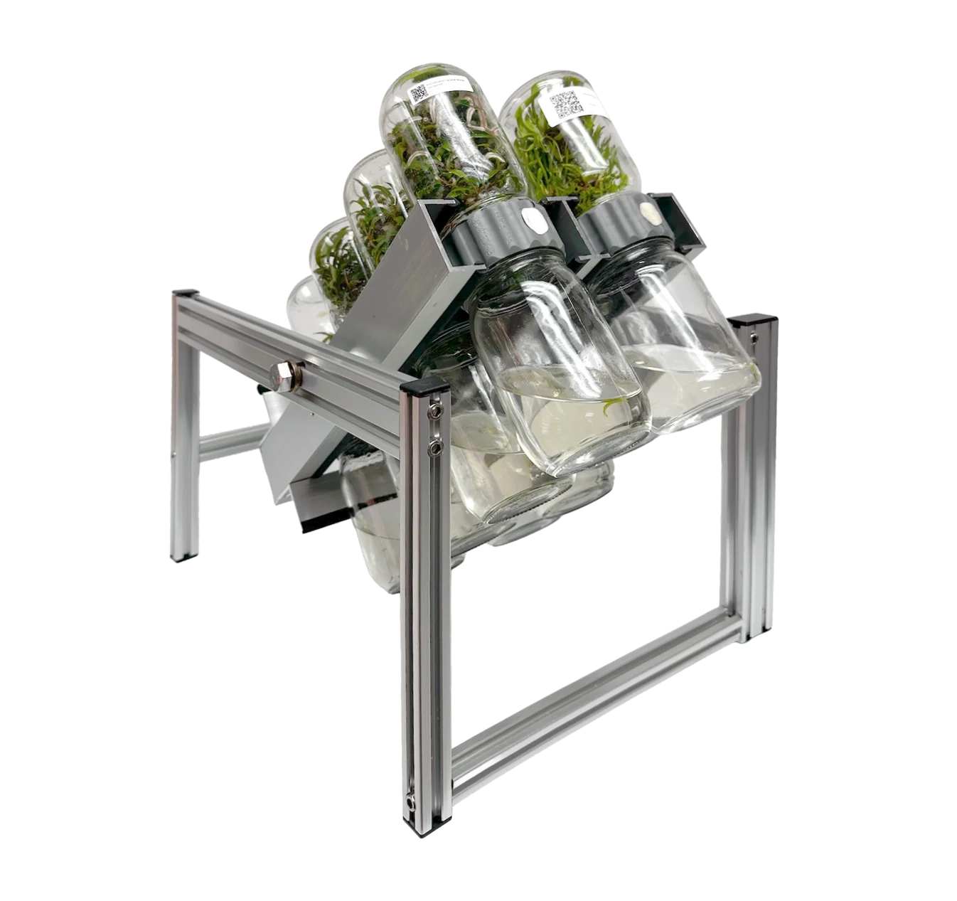 Plant Cell BioTilt™ 8 1 Metal rack holding multiple glass jars with green plants inside, all arranged at an angle to highlight the Plant Cell BioTilt™ 8 system for efficient plant cell cultivation.
