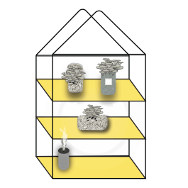 Line art glasshouse with yellow shelves holding jars and trays of mushrooms, plus a small smoking container below—perfect inspiration for anyone seeking quality mushroom growing supplies.